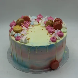 Pastel Macaron Drip Cake